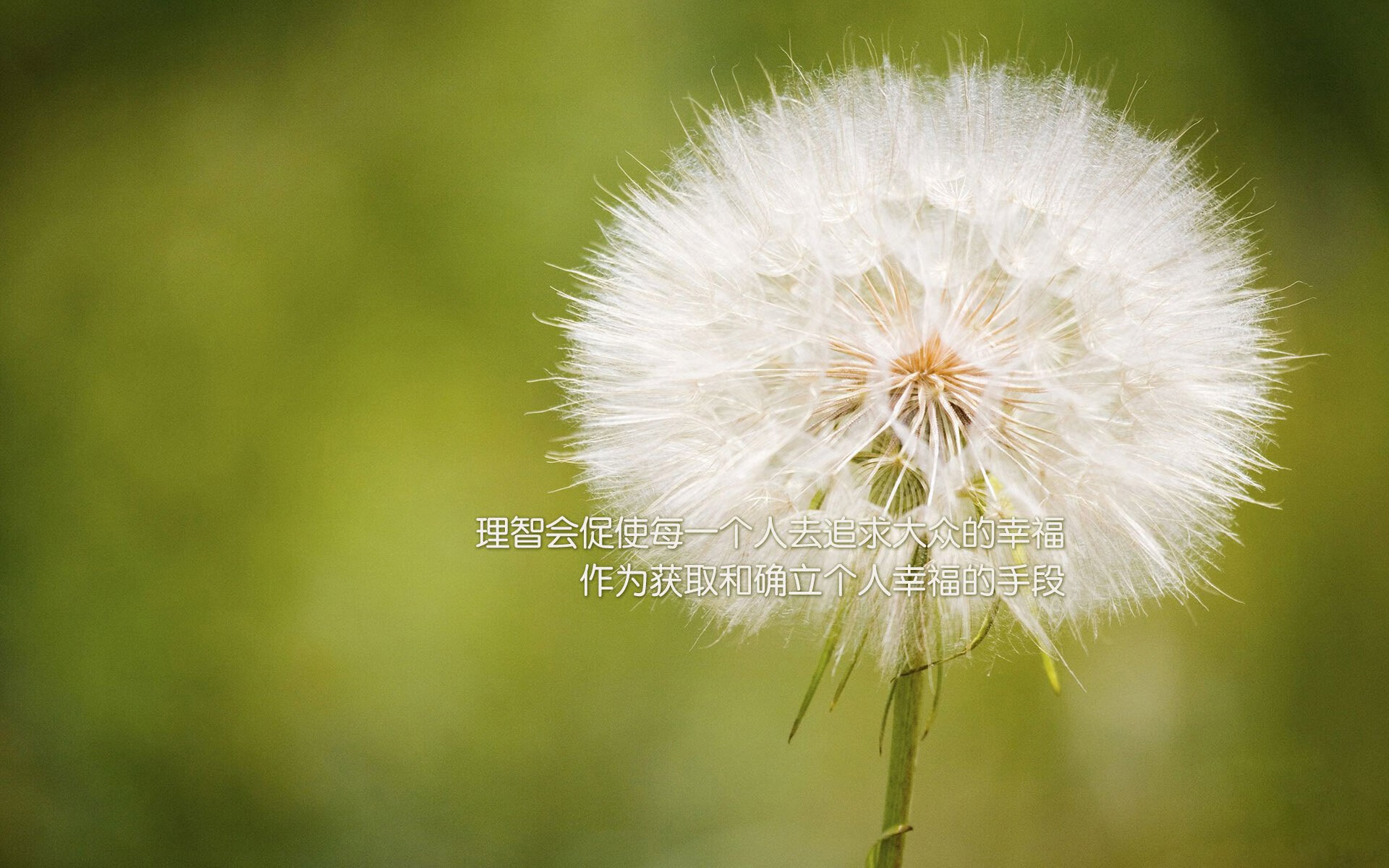 特色篮球文化搬入数字空间，推动线上线下融合发展，篮球线上教学的看法和建议