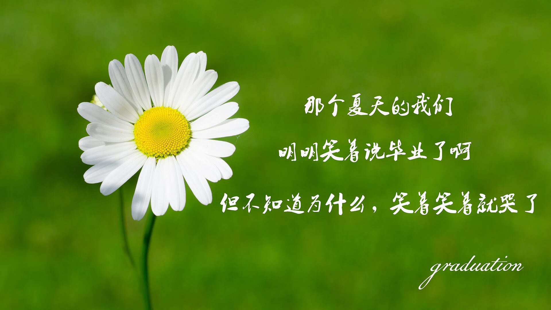 青少年足球相关产业链不断扩大，带动行业经济快速发展，中国青少年足球发展规划纲要