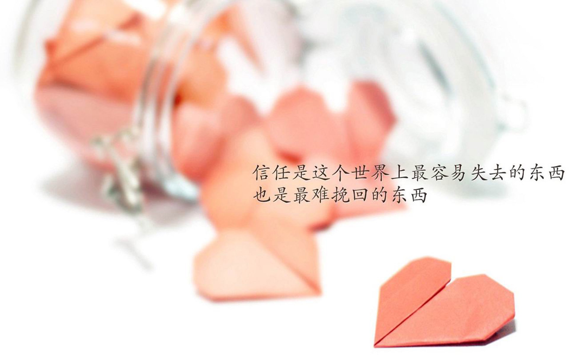 Aster核心选手复出时间确认