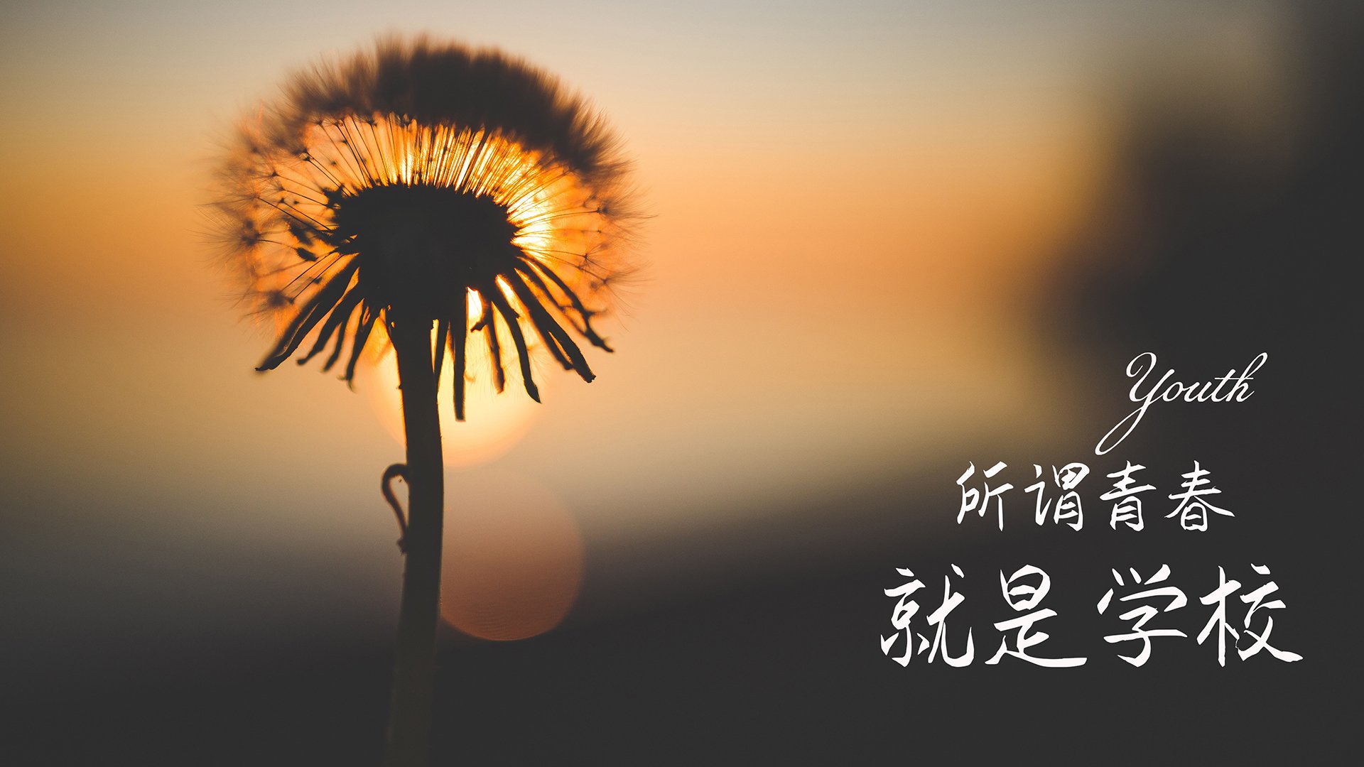 孙可梅开二度成英雄，国安主场告捷重新登顶，孙安可是谁