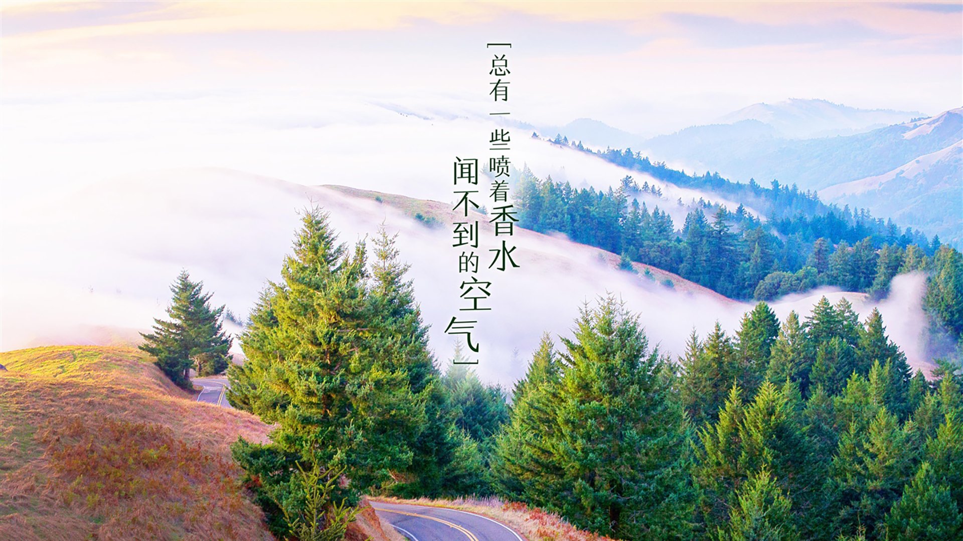 熊猫体育平台安全-球场传奇再现，欧冠赛场波澜壮阔，2022欧冠场地